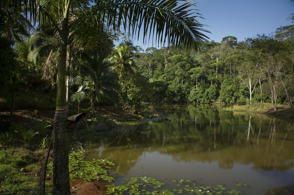 La Laguna Del Lagarto Eco-Lodge Pital  Zewnętrze zdjęcie