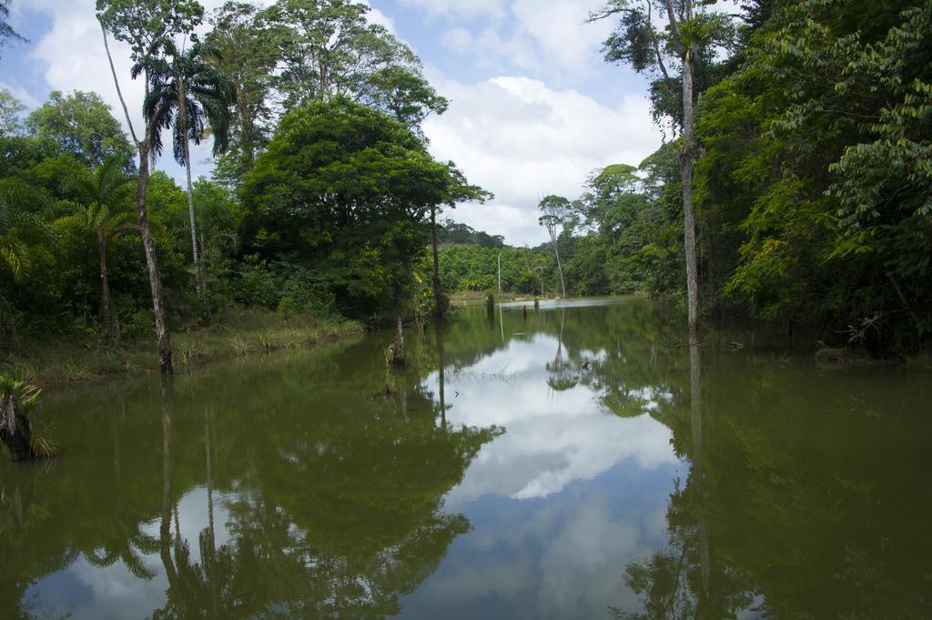 La Laguna Del Lagarto Eco-Lodge Pital  Zewnętrze zdjęcie