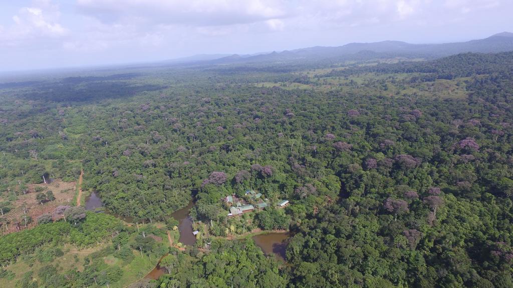 La Laguna Del Lagarto Eco-Lodge Pital  Zewnętrze zdjęcie