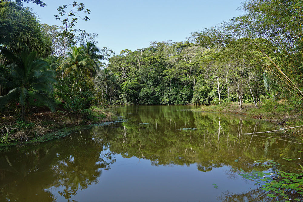 La Laguna Del Lagarto Eco-Lodge Pital  Zewnętrze zdjęcie