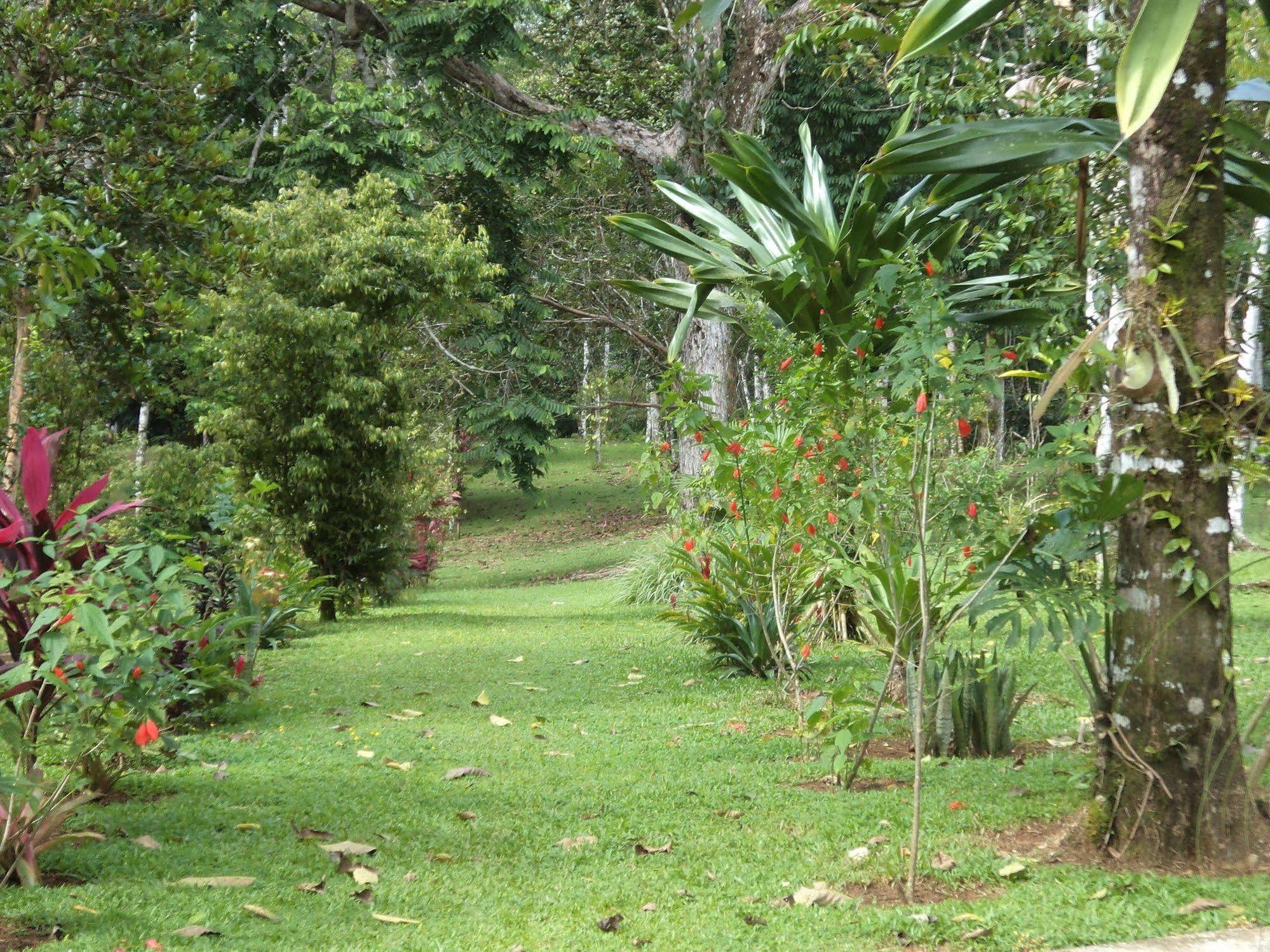 La Laguna Del Lagarto Eco-Lodge Pital  Zewnętrze zdjęcie