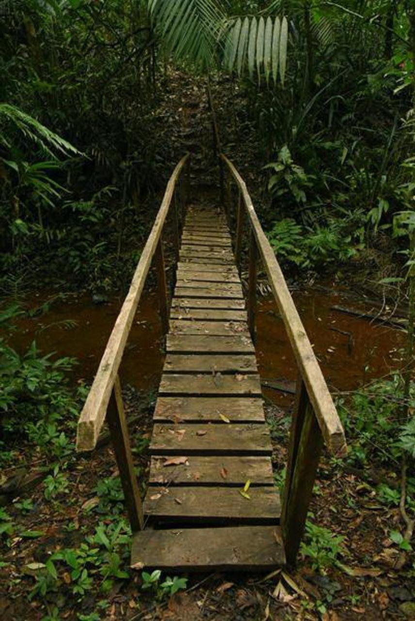 La Laguna Del Lagarto Eco-Lodge Pital  Zewnętrze zdjęcie