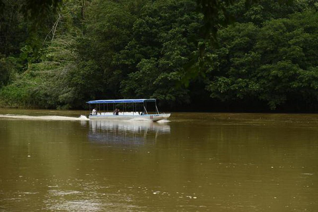 La Laguna Del Lagarto Eco-Lodge Pital  Zewnętrze zdjęcie